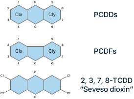 ���̿����̶�